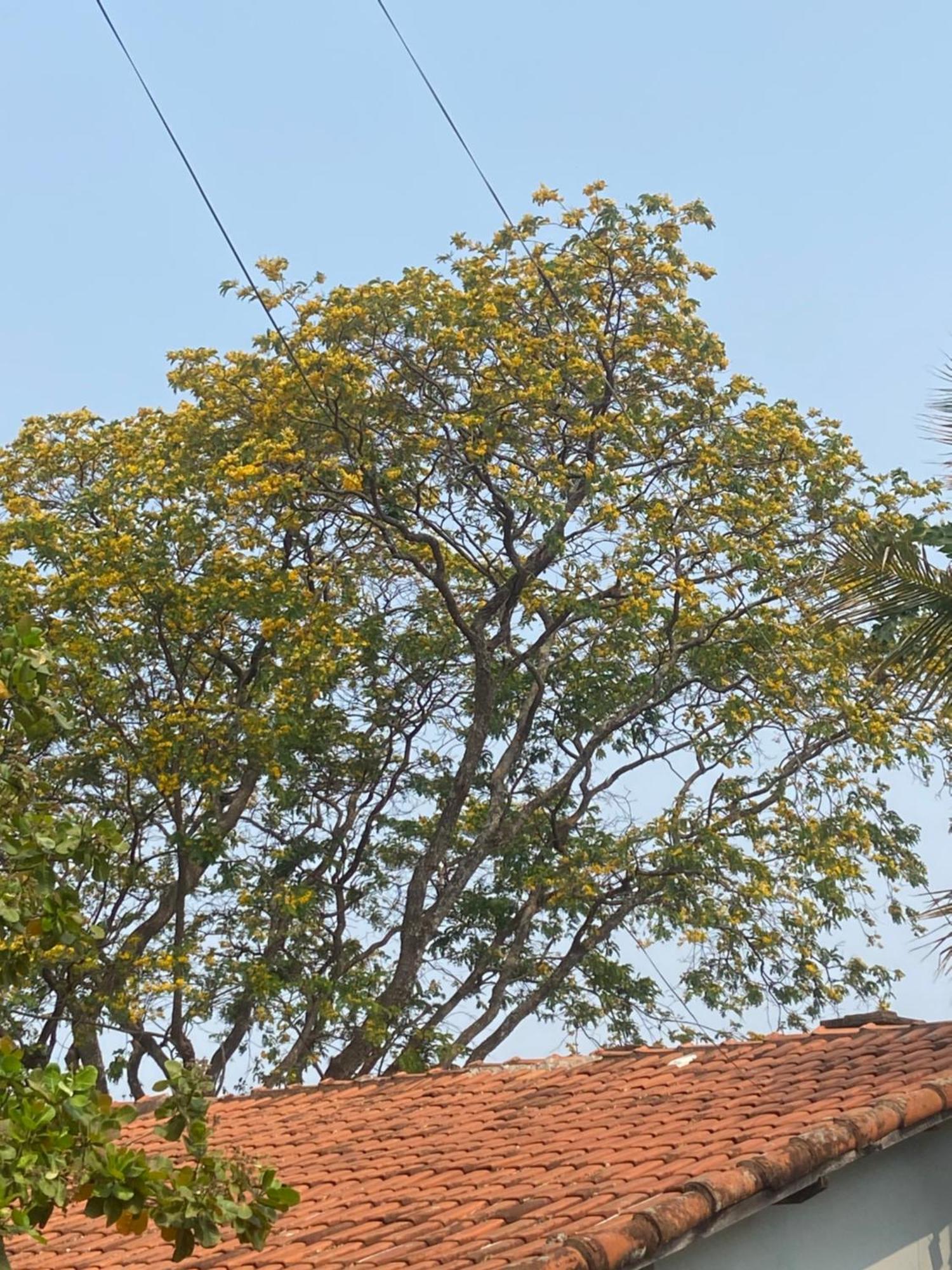 Quarto Privativo Chacara Pe Na Roca Brotas Exterior photo